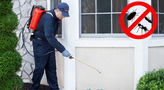 Ulukışla Kemirgen İlaçlama böcek ilaçlama ve haşere kontrolü — ilaclama-tr.com